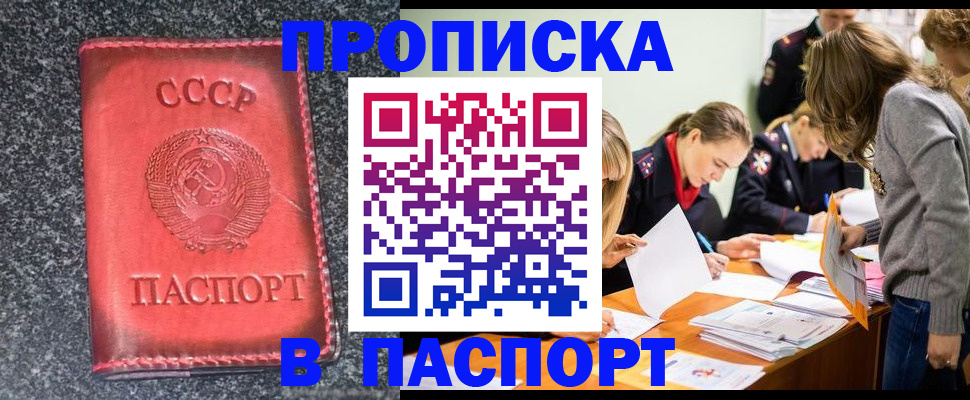 прописка для школы в Талице